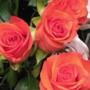 ヒメ日記 2024/12/25 07:16 投稿 斉藤恵 セレブショップ新宿（東京ハレ系）