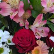 ヒメ日記 2024/12/28 08:26 投稿 斉藤恵 セレブショップ新宿（東京ハレ系）