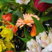 ヒメ日記 2024/12/28 22:49 投稿 斉藤恵 セレブショップ新宿（東京ハレ系）