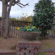 ヒメ日記 2024/12/30 05:38 投稿 斉藤恵 セレブショップ新宿（東京ハレ系）