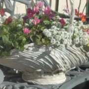 ヒメ日記 2024/12/31 11:04 投稿 斉藤恵 セレブショップ新宿（東京ハレ系）