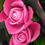 ヒメ日記 2025/01/08 07:16 投稿 斉藤恵 セレブショップ新宿（東京ハレ系）