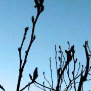 ヒメ日記 2025/01/08 22:31 投稿 斉藤恵 セレブショップ新宿（東京ハレ系）