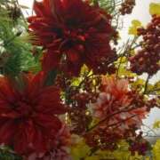 ヒメ日記 2025/01/09 16:45 投稿 斉藤恵 セレブショップ新宿（東京ハレ系）