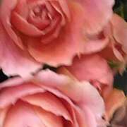 ヒメ日記 2025/01/12 07:15 投稿 斉藤恵 セレブショップ新宿（東京ハレ系）