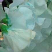 ヒメ日記 2025/01/12 08:37 投稿 斉藤恵 セレブショップ新宿（東京ハレ系）