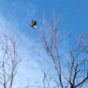 ヒメ日記 2025/01/14 14:39 投稿 斉藤恵 セレブショップ新宿（東京ハレ系）