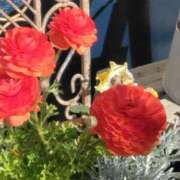 ヒメ日記 2025/01/15 17:32 投稿 斉藤恵 セレブショップ新宿（東京ハレ系）