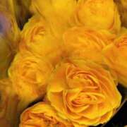 ヒメ日記 2025/02/08 08:01 投稿 斉藤恵 セレブショップ新宿（東京ハレ系）