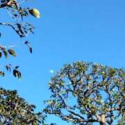 ヒメ日記 2025/02/08 15:37 投稿 斉藤恵 セレブショップ新宿（東京ハレ系）