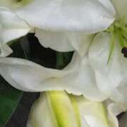 ヒメ日記 2025/02/08 21:43 投稿 斉藤恵 セレブショップ新宿（東京ハレ系）