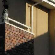 ヒメ日記 2025/02/11 19:16 投稿 斉藤恵 セレブショップ新宿（東京ハレ系）