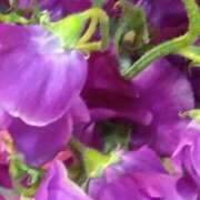 ヒメ日記 2025/02/12 07:15 投稿 斉藤恵 セレブショップ新宿（東京ハレ系）