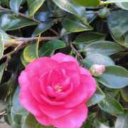 ヒメ日記 2025/02/12 17:48 投稿 斉藤恵 セレブショップ新宿（東京ハレ系）