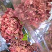 ヒメ日記 2025/02/15 13:56 投稿 斉藤恵 セレブショップ新宿（東京ハレ系）