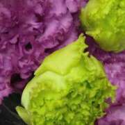 ヒメ日記 2025/02/16 07:15 投稿 斉藤恵 セレブショップ新宿（東京ハレ系）