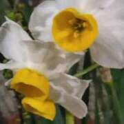 ヒメ日記 2025/02/16 18:31 投稿 斉藤恵 セレブショップ新宿（東京ハレ系）