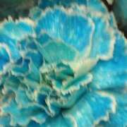 ヒメ日記 2025/02/16 21:30 投稿 斉藤恵 セレブショップ新宿（東京ハレ系）