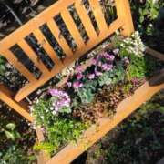 ヒメ日記 2025/02/18 17:30 投稿 斉藤恵 セレブショップ新宿（東京ハレ系）