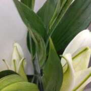 ヒメ日記 2025/02/18 23:36 投稿 斉藤恵 セレブショップ新宿（東京ハレ系）