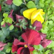 ヒメ日記 2025/02/19 17:31 投稿 斉藤恵 セレブショップ新宿（東京ハレ系）