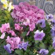 ヒメ日記 2025/02/20 10:49 投稿 斉藤恵 セレブショップ新宿（東京ハレ系）