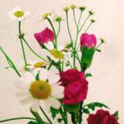 ヒメ日記 2025/02/22 10:15 投稿 斉藤恵 セレブショップ新宿（東京ハレ系）