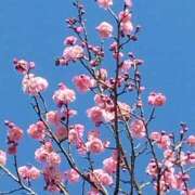 ヒメ日記 2025/02/22 15:00 投稿 斉藤恵 セレブショップ新宿（東京ハレ系）