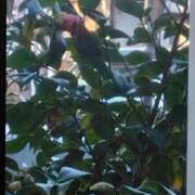 ヒメ日記 2025/02/22 17:28 投稿 斉藤恵 セレブショップ新宿（東京ハレ系）