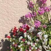 ヒメ日記 2025/02/23 07:15 投稿 斉藤恵 セレブショップ新宿（東京ハレ系）