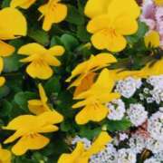 ヒメ日記 2025/02/24 06:03 投稿 斉藤恵 セレブショップ新宿（東京ハレ系）