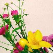 ヒメ日記 2025/02/25 01:30 投稿 斉藤恵 セレブショップ新宿（東京ハレ系）