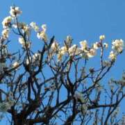 ヒメ日記 2025/02/25 11:13 投稿 斉藤恵 セレブショップ新宿（東京ハレ系）