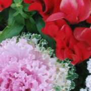 ヒメ日記 2025/02/26 19:01 投稿 斉藤恵 セレブショップ新宿（東京ハレ系）