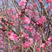 ヒメ日記 2025/02/27 10:57 投稿 斉藤恵 セレブショップ新宿（東京ハレ系）