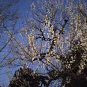 ヒメ日記 2025/02/27 21:30 投稿 斉藤恵 セレブショップ新宿（東京ハレ系）