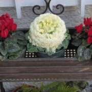 ヒメ日記 2025/03/01 10:45 投稿 斉藤恵 セレブショップ新宿（東京ハレ系）