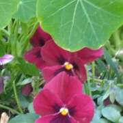 ヒメ日記 2025/03/01 16:22 投稿 斉藤恵 セレブショップ新宿（東京ハレ系）