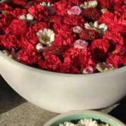 ヒメ日記 2025/03/02 10:15 投稿 斉藤恵 セレブショップ新宿（東京ハレ系）