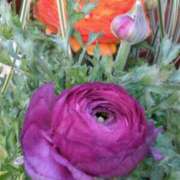 ヒメ日記 2025/03/05 00:49 投稿 斉藤恵 セレブショップ新宿（東京ハレ系）