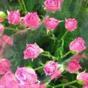 ヒメ日記 2025/03/06 20:31 投稿 斉藤恵 セレブショップ新宿（東京ハレ系）