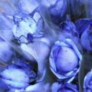 ヒメ日記 2025/03/06 23:01 投稿 斉藤恵 セレブショップ新宿（東京ハレ系）