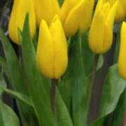 ヒメ日記 2025/03/09 18:45 投稿 斉藤恵 セレブショップ新宿（東京ハレ系）