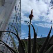 ヒメ日記 2025/03/10 12:45 投稿 斉藤恵 セレブショップ新宿（東京ハレ系）