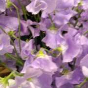 ヒメ日記 2025/03/11 17:13 投稿 斉藤恵 セレブショップ新宿（東京ハレ系）