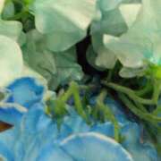 ヒメ日記 2025/03/11 20:08 投稿 斉藤恵 セレブショップ新宿（東京ハレ系）