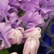 ヒメ日記 2025/03/12 00:37 投稿 斉藤恵 セレブショップ新宿（東京ハレ系）