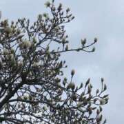 ヒメ日記 2025/03/14 19:03 投稿 斉藤恵 セレブショップ新宿（東京ハレ系）