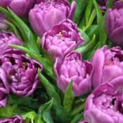 ヒメ日記 2025/03/16 07:15 投稿 斉藤恵 セレブショップ新宿（東京ハレ系）