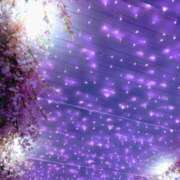 ヒメ日記 2025/03/16 21:30 投稿 斉藤恵 セレブショップ新宿（東京ハレ系）